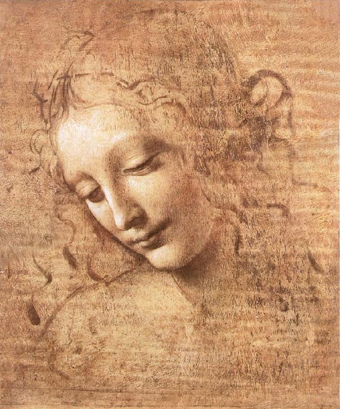 LEONARDO da Vinci Madchenkopf with confused hair Spain oil painting art